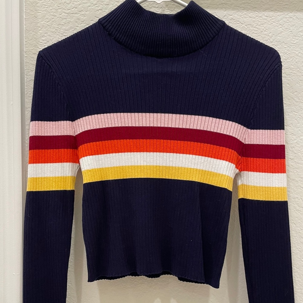 striped ribbed turtleneck sweater cropped